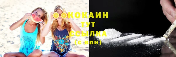 apvp Белокуриха