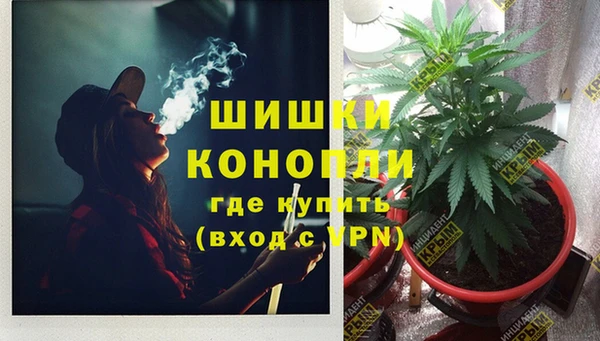 ГАЛЛЮЦИНОГЕННЫЕ ГРИБЫ Богородицк