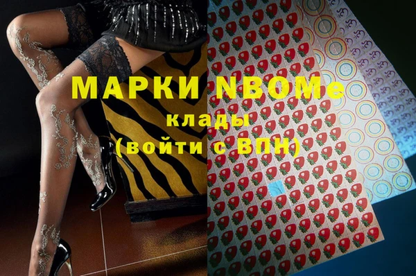 apvp Белокуриха