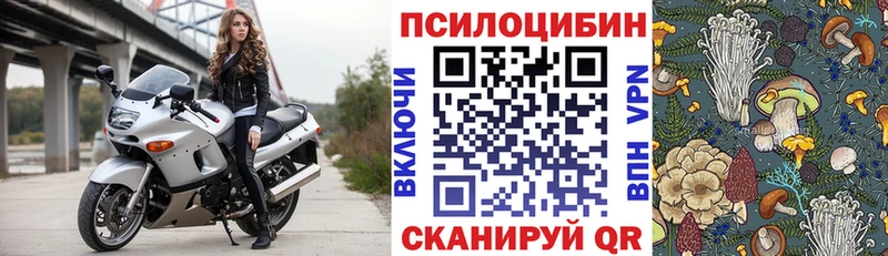 где продают   omg как войти  Псилоцибиновые грибы Magic Shrooms  Дзержинск 